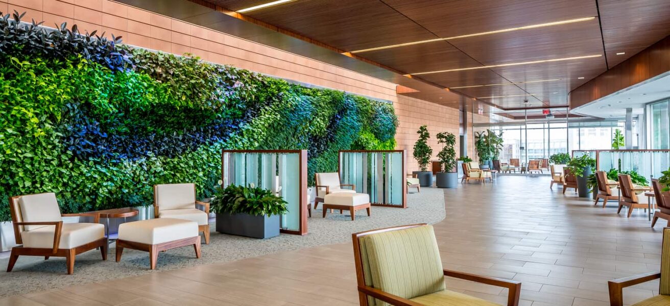 The living green wall at Mayo Clinic Dan Abraham Healthy Living Center Mezzanine Lounge