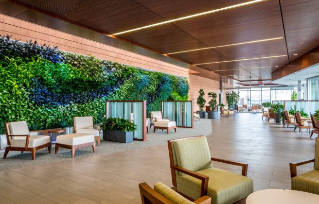 The living green wall at Mayo Clinic Dan Abraham Healthy Living Center Mezzanine Lounge