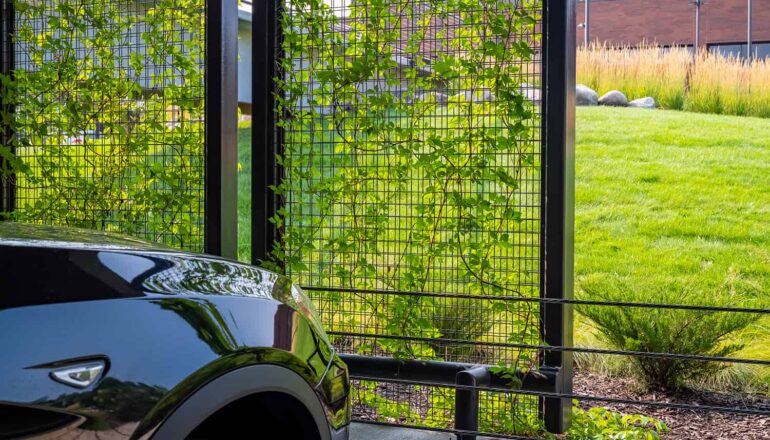 Detail photo of a car parked in the CHS ramp with views to the office building and landscaping elements.