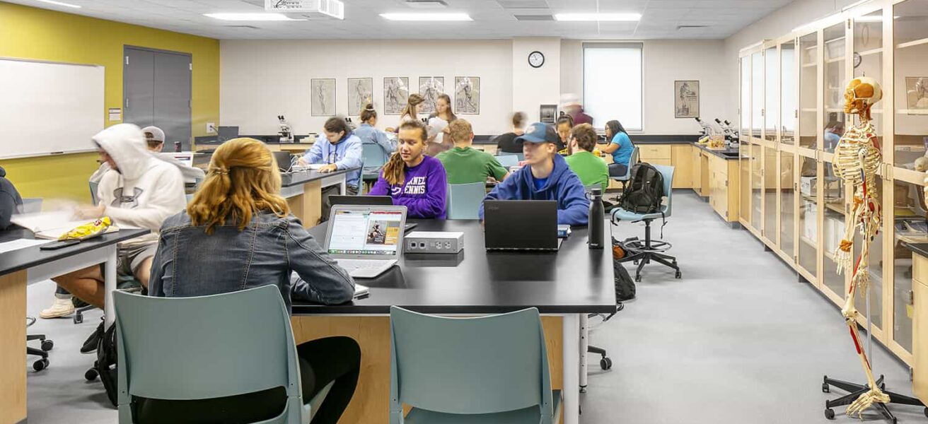 Students learning in an anatomy lab with wood frame casework.