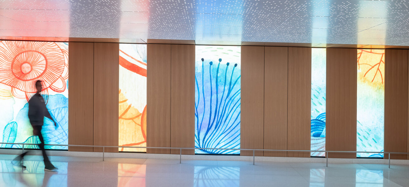 A person uses one of the Mayo Clinic subway pedestrian ramps. The ramp has a slight elevation and is framed by changing video boards with artistic graphics of nature