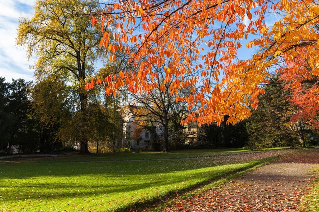 Autumn afternoon