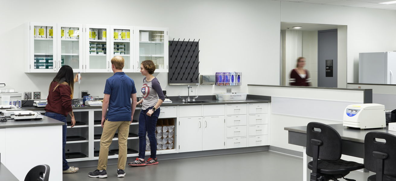 Students work in one of the Biological Sciences Center's flexible labs