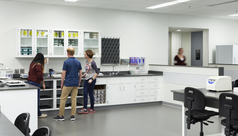 Students work in one of the Biological Sciences Center's flexible labs