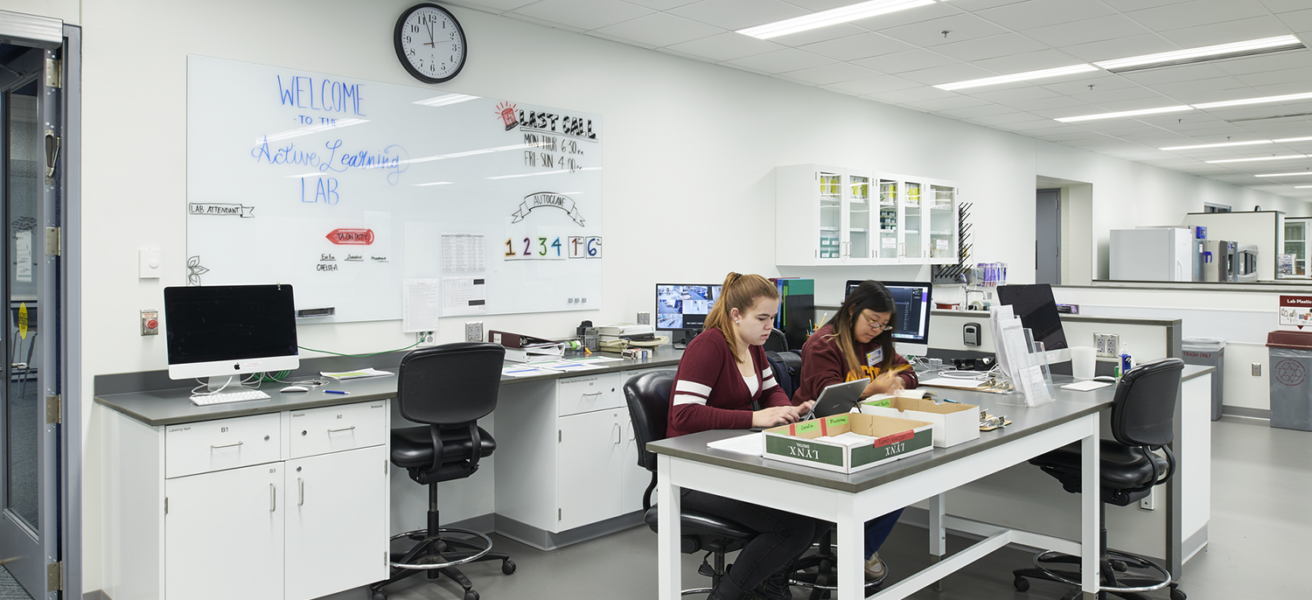 Students work in one of the Biological Sciences Center's flexible labs