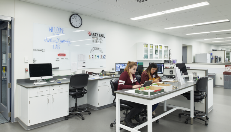 Students work in one of the Biological Sciences Center's flexible labs