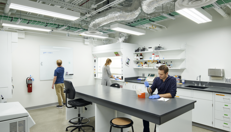 Three students work on research projects in a biological sciences lab