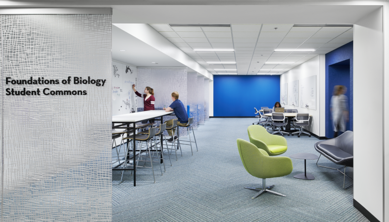 Students write on a floor to ceiling whiteboard wall in the Biological Sciences commons. They are surrounded by green chairs and blue walls and touchdown tables