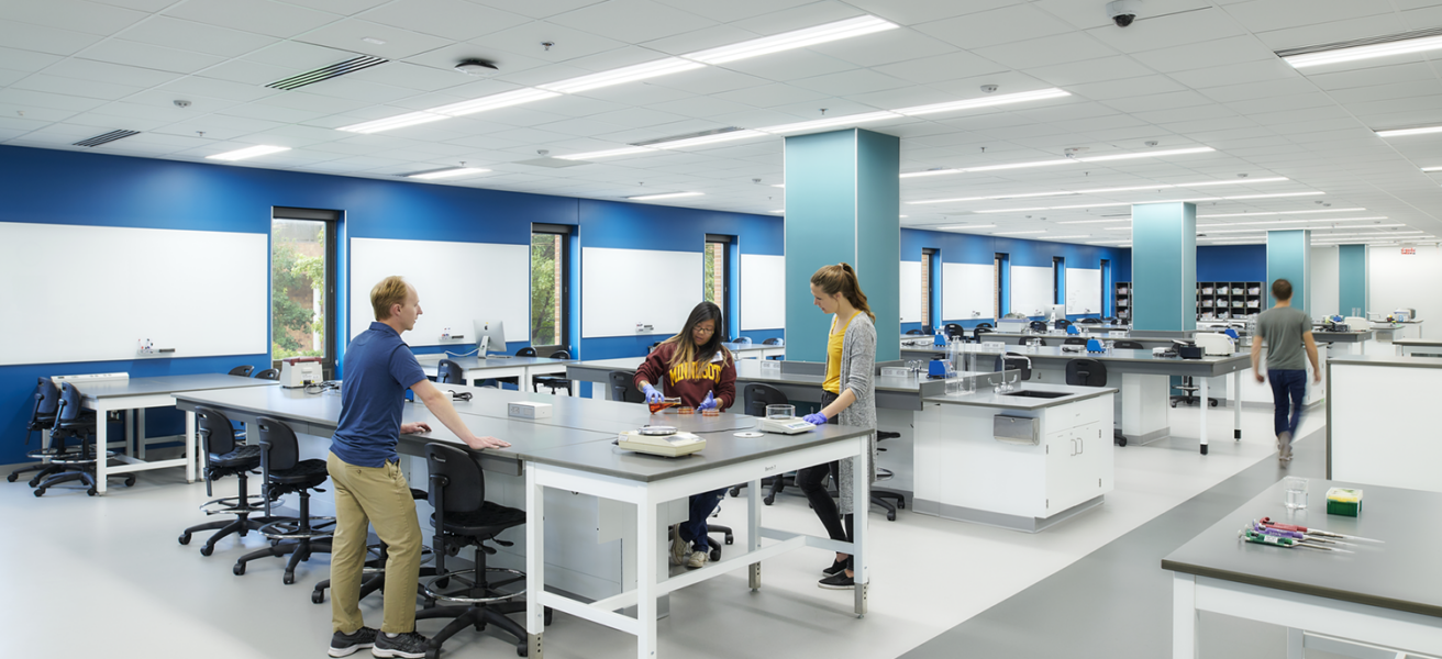 Students work in the Biological Sciences Active Learning Lab, complete with whiteboards, flexible lab stations, and views to the outdoors